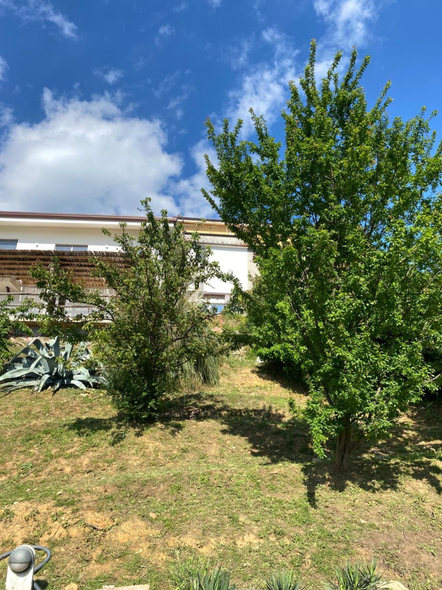 Patrizia Guest house