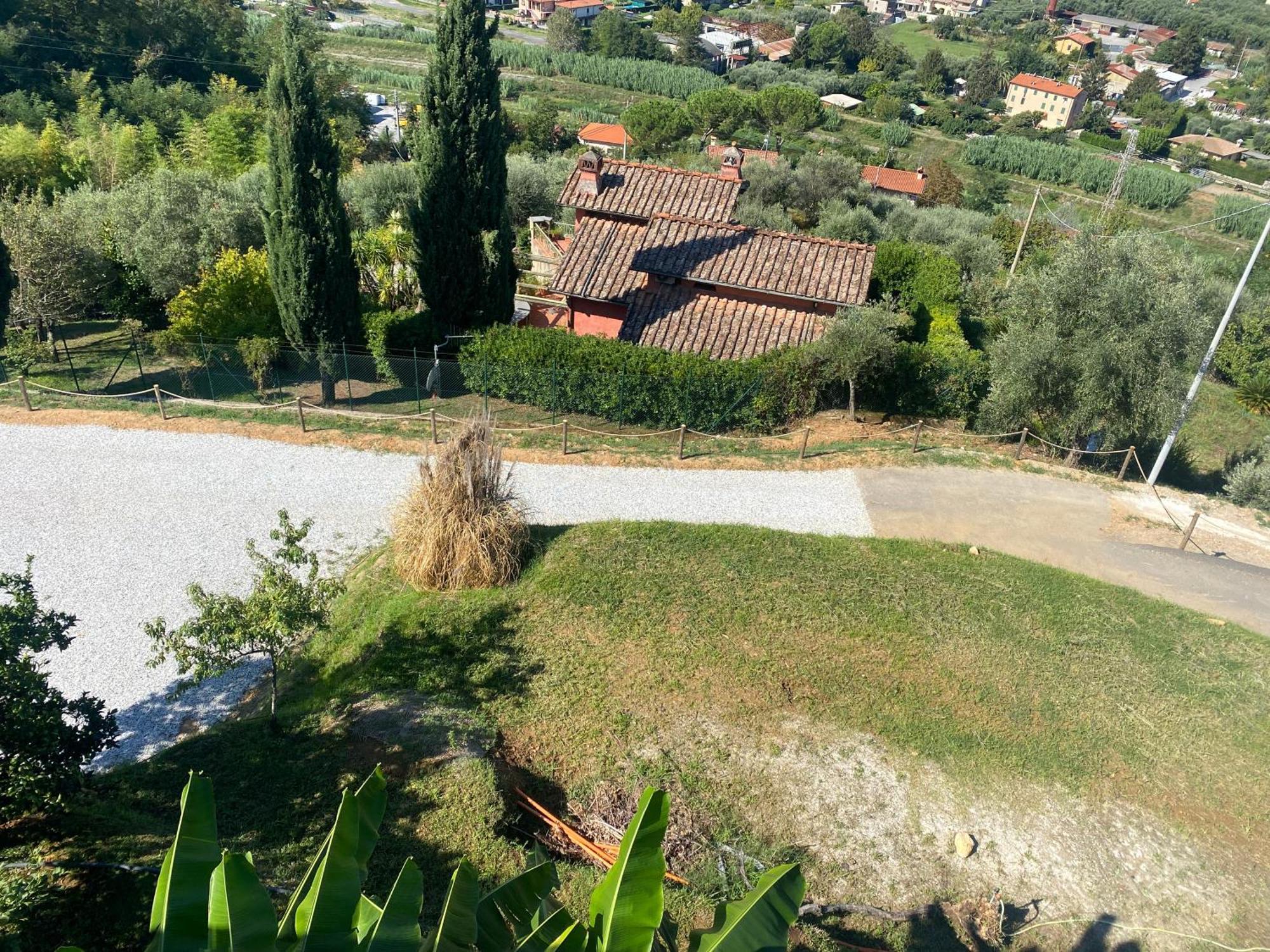 Patrizia * Pietrasanta